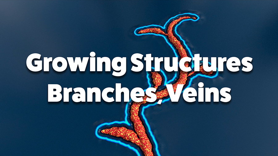 Growing Structures: Branches and Veins